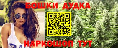 гидра Беслан