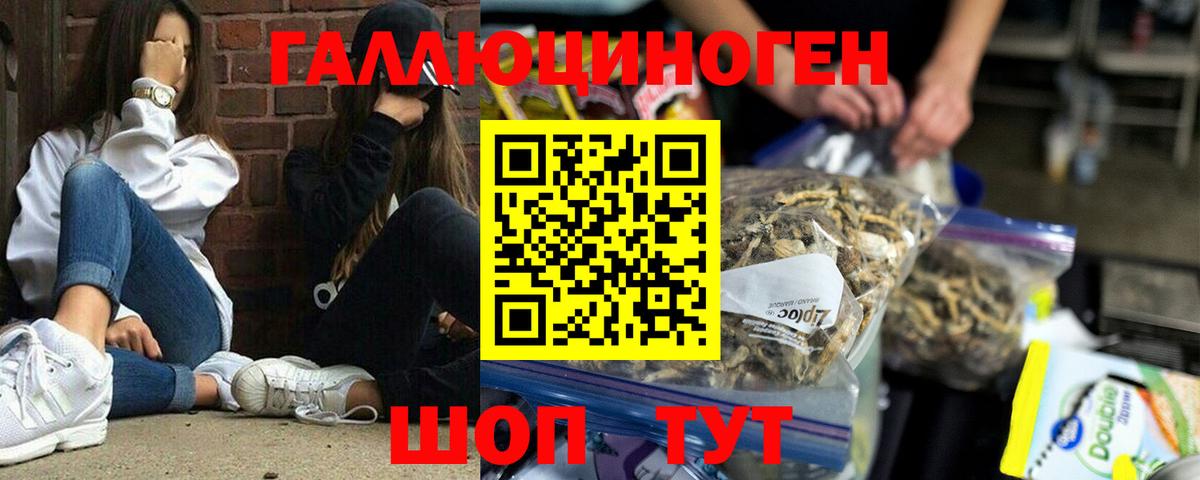 Галлюциногенные грибы GOLDEN TEACHER Кольчугино